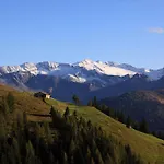 Hotell Kathrin Grossarl